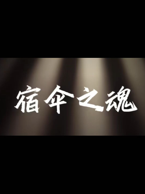 宿伞之魂